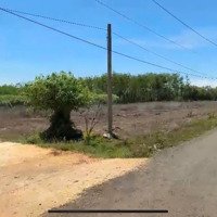 Bán Đất Nền Phú Riềng, Bình Phước, Giá Cực Chất 1,5 Triệu / M2, 250 M2 (100M2 Thổ Cư)