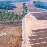 Bán Đất Nền Phú Riềng, Bình Phước, Giá Cực Chất 1,5 Triệu / M2, 250 M2 (100M2 Thổ Cư)