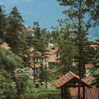 (Còn Lại Rất Ít). Biệt Thự Thụy Sĩ Rừng Thông, View Hồ, 200-700M2, Cuối Năm Về Ở