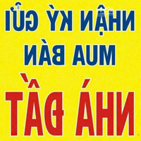 Bán Đất Nền Dự Án Đẹp Tại 7 Điện Nam Điện Ngọc, Giá Bán 2,4 Tỷ, Diện Tích 125M2