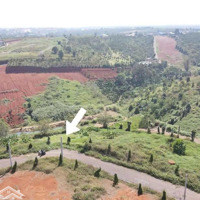 Chính Chủ Bán Lô Đất Tại Xã Lộc Ngãi,Huyện Bảo Lâm, Bảo Lộc,Lâm Đồng. Chỉ 1,9 Triệu/M2 Bao Sang Tên