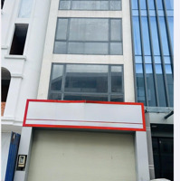 Nhà Đường Hoa Lan 5X20M Hầm Trệt 3 Lầu Cho Thuê