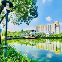 Bán Nhiều Bt Lucasta Khang Điền Giá Tốt Nhất. Lh An