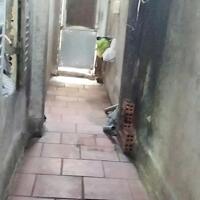 Nhà hẻm 4m Trung tâm Trảng Bàng, ngày chợ Trảng Bàng cũ.