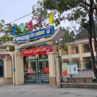 Có 1 Không 2 - Đất Mặt Đường 8M Đã Có Bìa, Giá Rẻ Nhất Liên Xuân, Thủy Nguyên Chỉ 450 Triệu/Lô