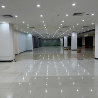 Bqltn Cho Thuê Giá Sốc Từ 384.300Đ/M2/ Tháng Sàn Thương Mại, Văn Phòng Grand Plaza - Charmvit