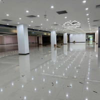 Bqltn Cho Thuê Giá Sốc Từ 384.300Đ/M2/ Tháng Sàn Thương Mại, Văn Phòng Grand Plaza - Charmvit