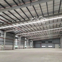 Cho Thuê Xưởng Sản Xuất 5000M2, 8000M2, 12.000M2 Ngay Kcn Long Hậu, Kcn Tân Kim, Cần Giuộc, Long An