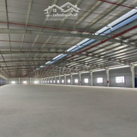 Cho Thuê Xưởng Sản Xuất 5000M2, 8000M2, 12.000M2 Ngay Kcn Long Hậu, Kcn Tân Kim, Cần Giuộc, Long An