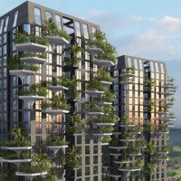 Lá Phổi Xanh Long An - Thiên Đường Trên Mây - Cách Quận 1 (50 Phút)