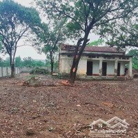 Bán Đất Tại Xã Trần Phú, Chương Mỹ, Hà Nội, 5,5 Triệu / M2, 1050 M2, View Đẹp, Nhanh Tay Chốt Liền