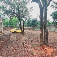 Bán Đất Tại Xã Trần Phú, Chương Mỹ, Hà Nội, 5,5 Triệu / M2, 1050 M2, View Đẹp, Nhanh Tay Chốt Liền