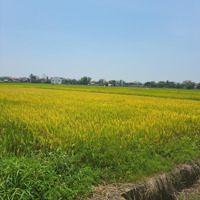 Đất View Lúa Cẩm Châu, Sát Kênh Sinh Thái Đẹp