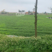Bán Đất Nền Hải Hòa, 37.5 Tỷ, 2330 M2, Giá Ưu Đãi Hàng Hiếm Tại Nam Định