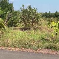 Đất Sào Tại Xã Bình Trung, Châu Đức, Diện Tích 1102M2.Mặt Tiềnđường Nhựa