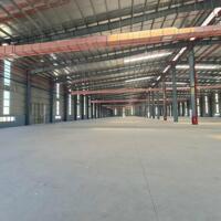 CHO THUÊ NHÀ XƯỞNG 20.000M² tại Cẩm Giàng-Hải Dương bàn giao ngay
