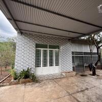 Bán gấp lô đất hơn 15 loại cây ăn trái từ 10-15 năm tuổi tại Thống Nhất