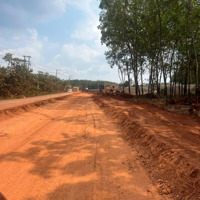 22X50M Hơn 1000M2 Đất Sào 1 Sẹc Đường Đt 753, Giá Chỉ 245 Triệu