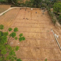 Bán Đất Trung Tâm Hành Chính Xã Thạch Cẩm Chỉ 250 Triệu/125M2 Cạnh Ub Xã, Trường Học Các Cấp