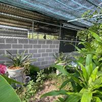 Bán Farm Sông Cầu - Khánh Vĩnh đang thu hoạch - điện nước đầy đủ gần Quốc Lộ 27C