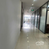 Văn Phòng 1000M Chia Nhỏ Theo Nhu Cầu Tố Hữu Bàn Giao Full Tiện Ích