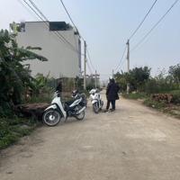 Chính Chủ Gửi Bán 91M2 Dv Lại Yên