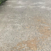 Bán Lô Đường Tdc Miếu Bông - Đường 5M Sát Quốc Lộ 1A