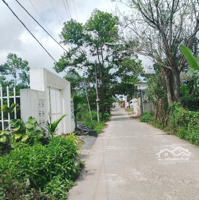 Bán Lô Đường Tdc Miếu Bông - Đường 5M Sát Quốc Lộ 1A