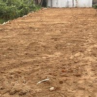 Bán Lô Đường Tdc Miếu Bông - Đường 5M Sát Quốc Lộ 1A