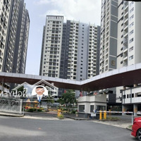 Cho Thuê Shophouse Tầng Trệt Chung Cư Eco Xuân Ngay Lotte 10 Triệu/ Tháng.diện Tích42M2