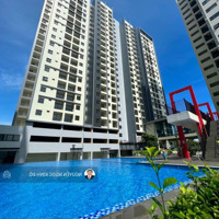 Cho Thuê Shophouse Tầng Trệt Chung Cư Eco Xuân Ngay Lotte 10 Triệu/ Tháng.diện Tích42M2