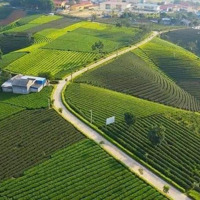 Chỉ Từ 1,6X Tỷ Có Ngay Lô Đất Nền, Full Thổ Cư, Sẵn Sổ Công Chứng Luôn.