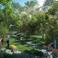 Bán Căn Hộ Eco Retreat Cao Tầng Hồ Thiên Nga - Rừng Retreat Đầu Tiên Tại Việt Nam
