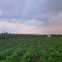 Bán Đất Mặt Đường Xã Thuận Hạnh, Dăk Song, Đắk Nông, 2,3 Tỷ, 10470M2,Mặt Tiền60M, Thế Đất View Cực Đẹp