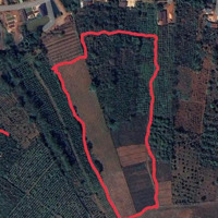 Bán Đất Mặt Đường Xã Thuận Hạnh, Dăk Song, Đắk Nông, 2,3 Tỷ, 10470M2,Mặt Tiền60M, Thế Đất View Cực Đẹp
