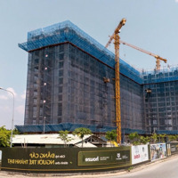 Bán Căn Hộ Citi Grand Quận 2 Mua Trực Tiếp Từ Cđt Thanh Toán Theo Tiến Độ, Ân Hạn Gốc Lãi 24 Tháng