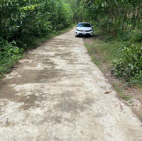 Bán Hơn 1.8Ha Đất Khánh Bình, Đường Bê Tông Giá Chỉ 2.3 Tỷ
