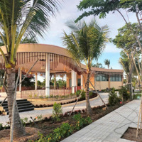 Cơ Hội Kép Tại Agora City Thủ Thừa: Vừa Đầu Tư Vừa Đồng Hành Phát Triển
