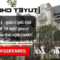 [Sp Tuyệt Chủng] Biệt Thự Nội Đô, Trung Tâm Mỹ Đình, 5 Tầng|1 Hầm, Dành Cho 0.1% Giới Siêu Giàu Sh