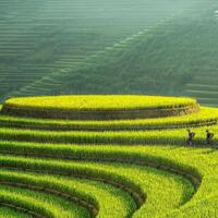  CHO THUÊ NHÀ 3 TẦNG PHỐ MÊ LINH - GẦN TRƯỜNG THPT NGÔ QUYỀN