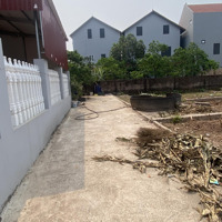 Gần 3 Tỷ Sở Hữu Ngay Lô Đất Hiếm 76M2 Tại Tráng Việt- Full Thổ Cư- Gần Trường Cấp 1!