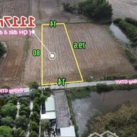 Đất Lúa Mà Quy Hoạch Đất Ở Đô Thị Giá Rẻ Hơn Thị Trường, Thích Hợp Xây Nhà Vườn Hoặc Phân Lô