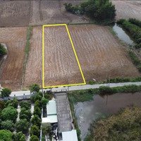 Đất Lúa Mà Quy Hoạch Đất Ở Đô Thị Giá Rẻ Hơn Thị Trường, Thích Hợp Xây Nhà Vườn Hoặc Phân Lô