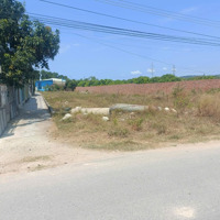Đất Sào 2 Mặt Tiền Đường Nhựa Lớn Tân Hòa - Phú Mỹ; Cách Đường S Chỉ 100M, Giá Rẻ Bất Ngờ