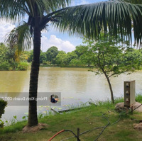 Chính Chủ Bán Biệt Thự Đảo Ecopark - 270M2 - Nguyên Bản. Liên Hệ: 0918114743