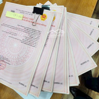 Chính Chủ Cần Tiền Gấp Bán Lô Đất Tỉnh Lộ 295, Xã Tân Hưng, Lạng Giang, Bắc Giang, 2,9 Tỷ, 93,5 M2