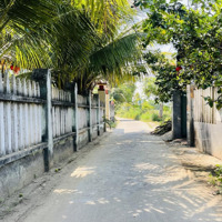 290M2 Điện Hoà Gần Võ Như Hưng Ngang 10M Chỉ 1450