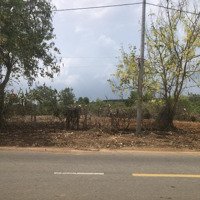Bán Đất Nông Nghiệp Huyện Châu Đức, Tỉnh Bà Rịa Vũng Tàu. Thích Hợp Xây Biệt Thự Nghỉ Dưỡng
