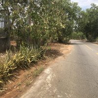 Bán Đất Nông Nghiệp Huyện Châu Đức, Tỉnh Bà Rịa Vũng Tàu. Thích Hợp Xây Biệt Thự Nghỉ Dưỡng