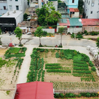 Căn Góc Đất Đấu Giá Xã Liên Mạc 117,1M2 Mặt Tiền 21M, Cạnh Trường Thpt Yên Lãng, Giá Bán 46 Triệu/M2